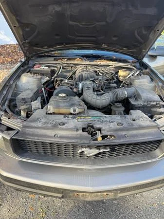2005 Ford S197 Mustang - Image 14 of 16