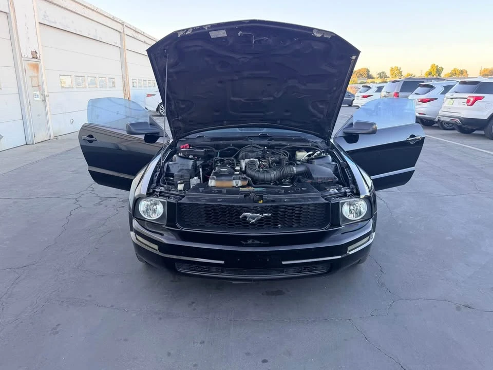 2005 Ford S197 Mustang - Image 9 of 15