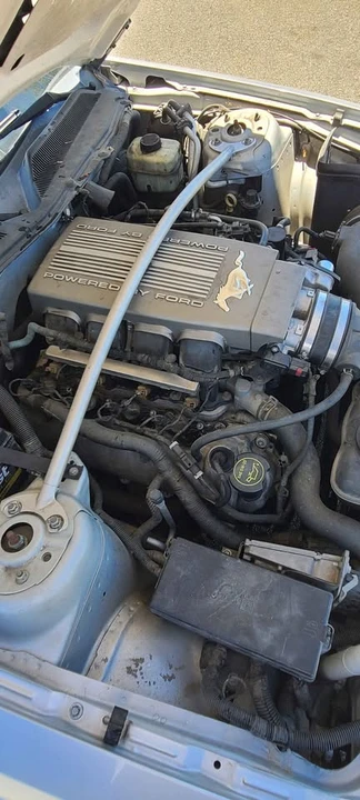 2005 Ford S197 Mustang - Image 14 of 14