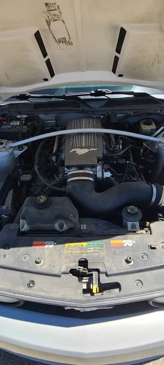 2005 Ford S197 Mustang - Image 5 of 14