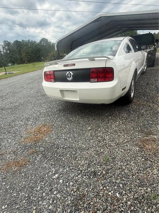 2005 Ford S197 Mustang - Image 5 of 6