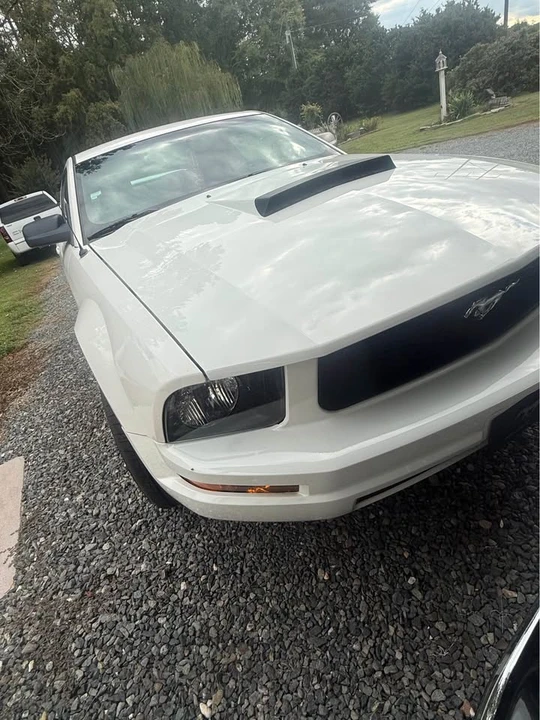 2005 Ford S197 Mustang - Image 4 of 6