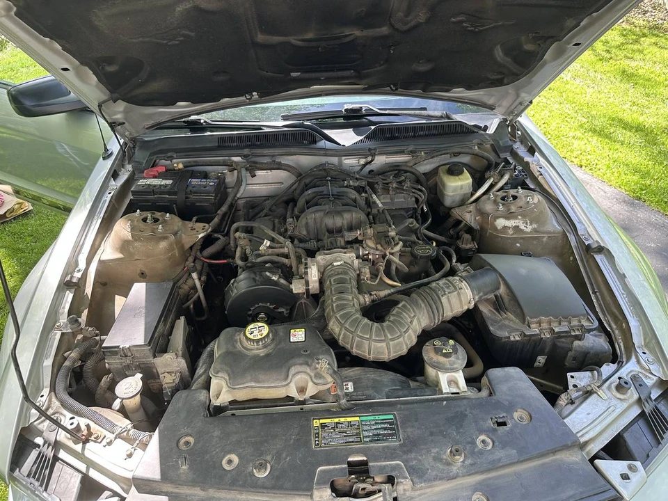 2005 Ford S197 Mustang - Image 13 of 15