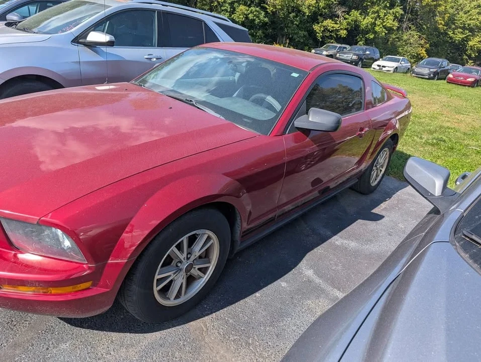2005 Ford S197 Mustang - Image 4 of 6