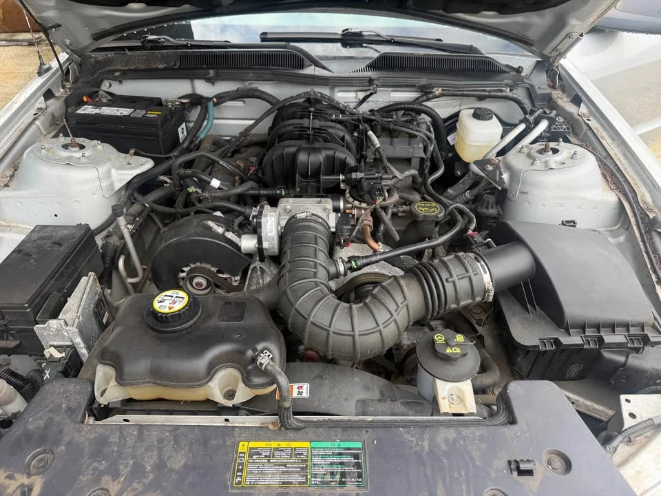 2005 Ford S197 Mustang - Image 4 of 8
