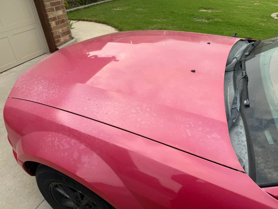 2005 Ford S197 Mustang - Image 3 of 14