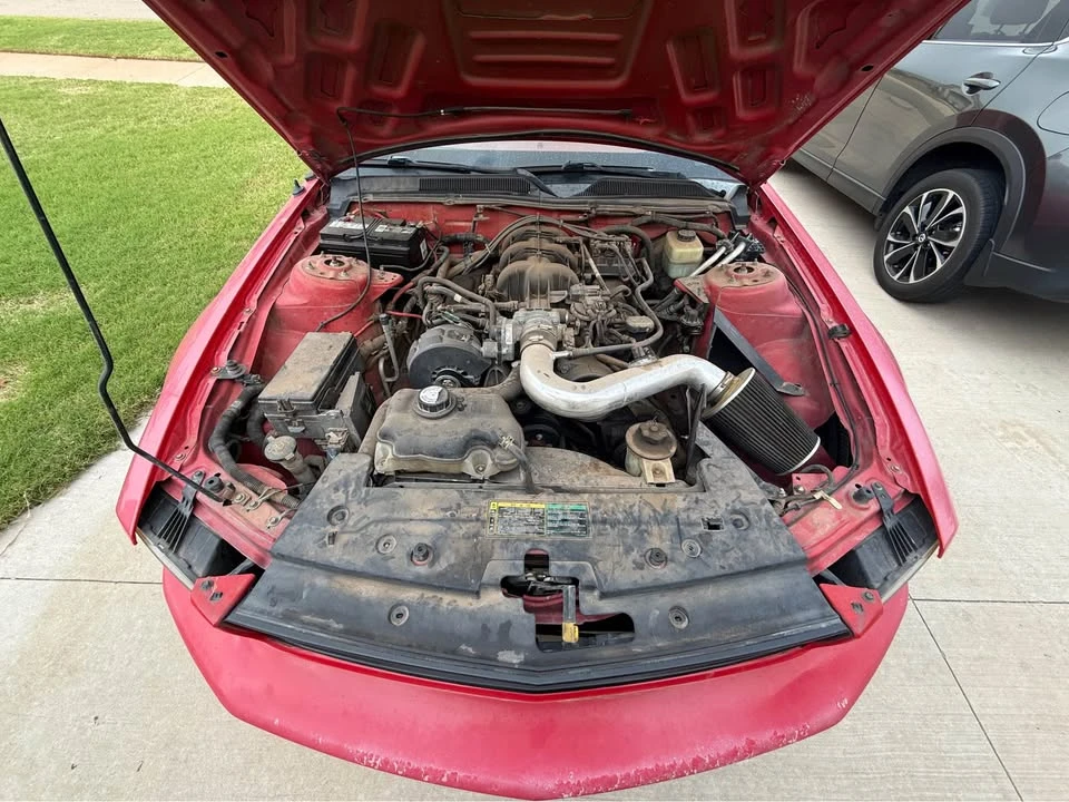 2005 Ford S197 Mustang - Image 14 of 14