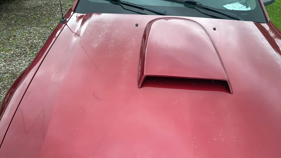 2005 Ford S197 Mustang - Image 7 of 9