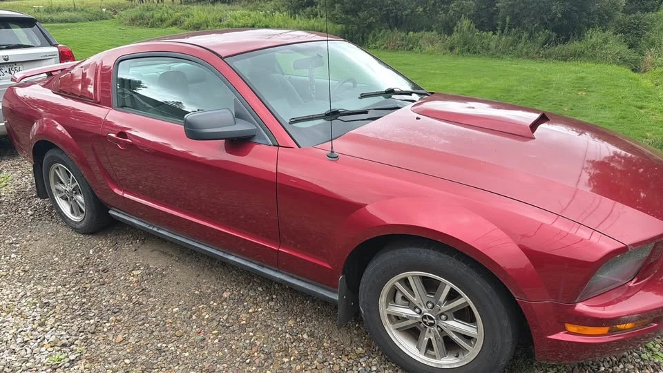 2005 Ford S197 Mustang - Image 9 of 9