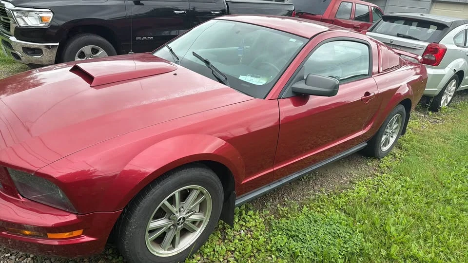 2005 Ford S197 Mustang - Image 6 of 9