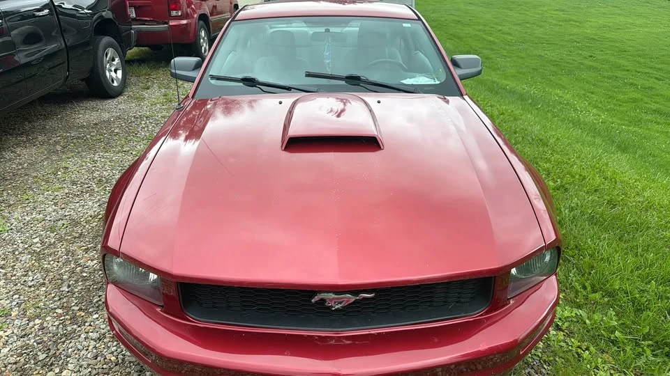 2005 Ford S197 Mustang - Image 8 of 9