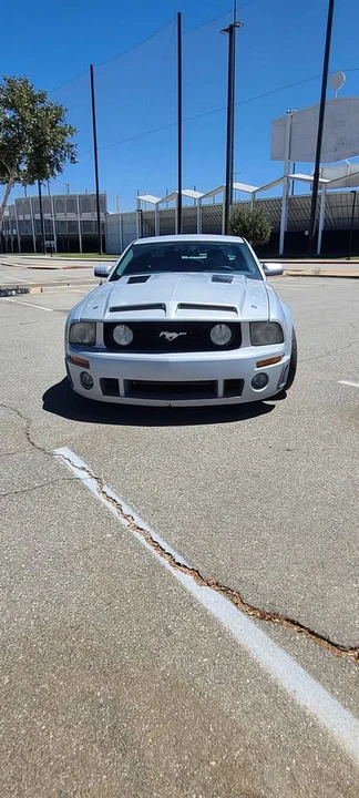 2005 Ford S197 Mustang - Image 16 of 20