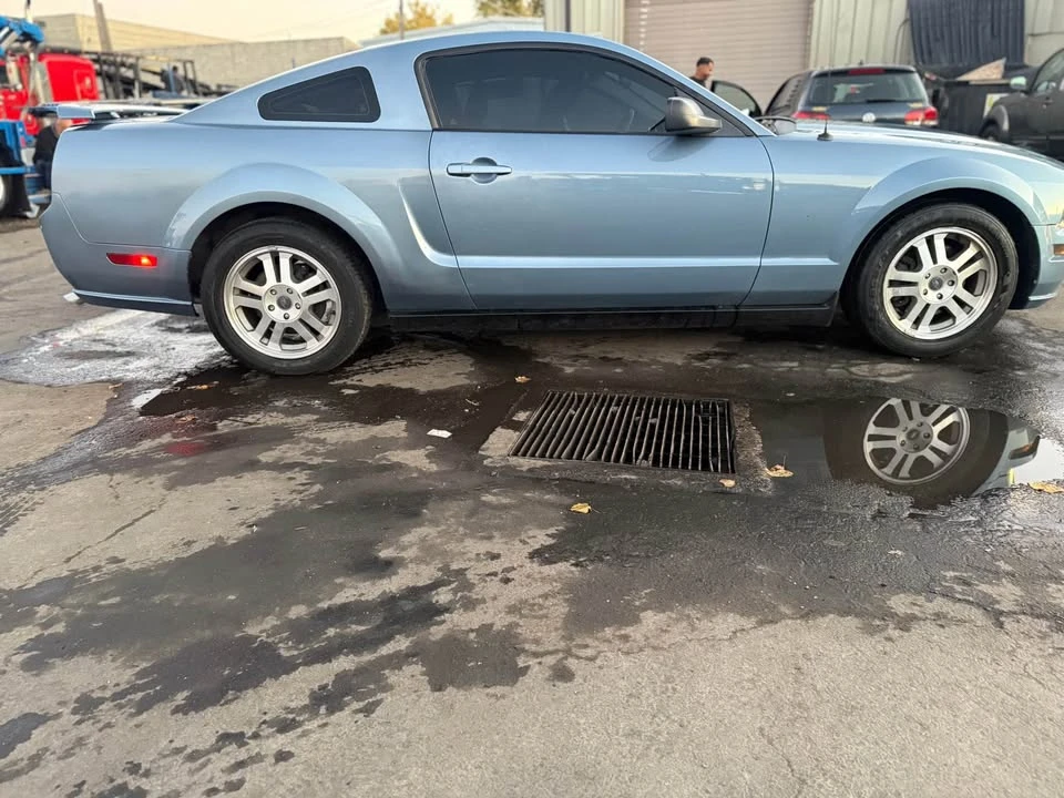2005 Ford S197 Mustang - Image 11 of 11