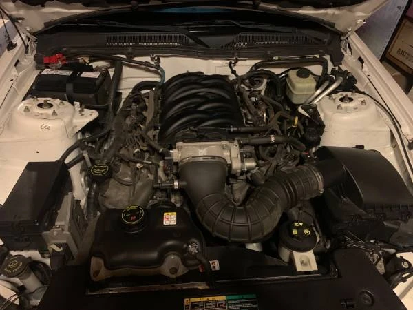 2005 Ford S197 Mustang - Image 5 of 5