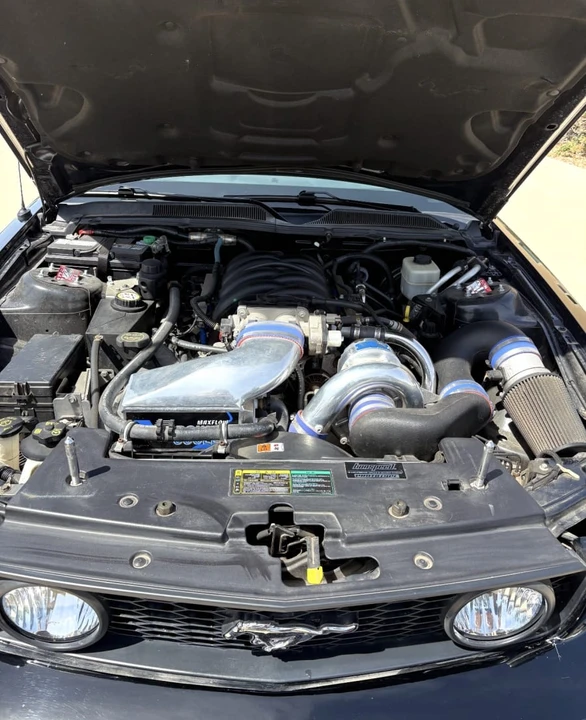 2005 Ford S197 Mustang - Image 14 of 17