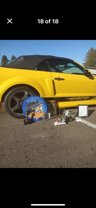 2005 Ford S197 Mustang - Image 10 of 20