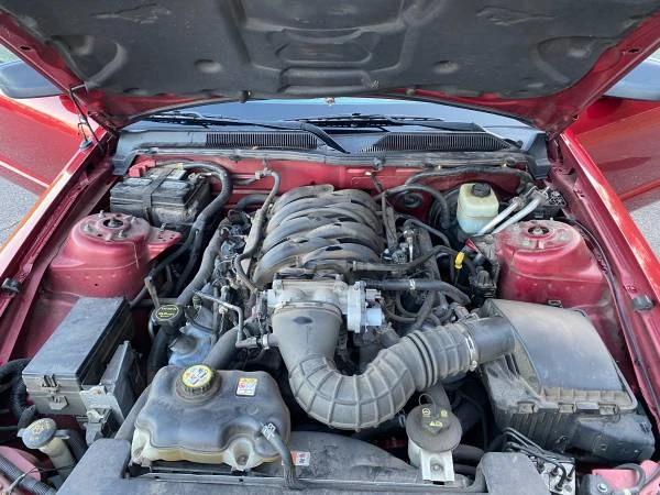 2005 Ford S197 Mustang - Image 11 of 11