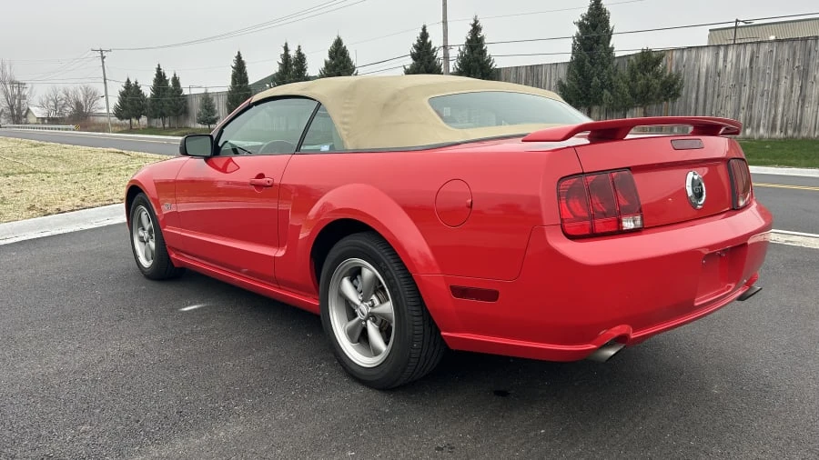 2005 Ford S197 Mustang - Image 6 of 13