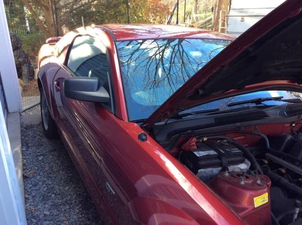 2005 Ford S197 Mustang - Image 8 of 8