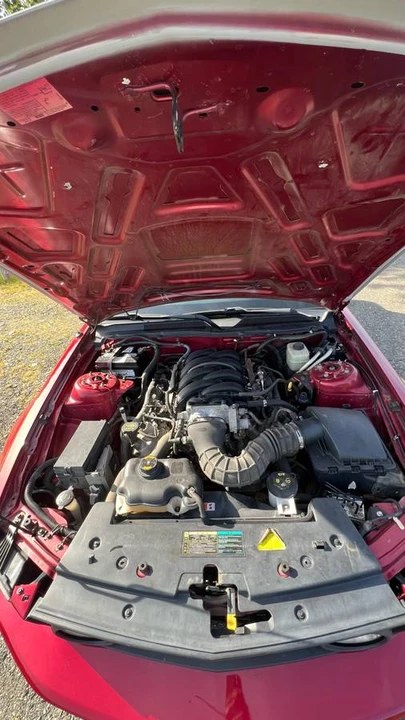 2005 Ford S197 Mustang GT - Image 14 of 17