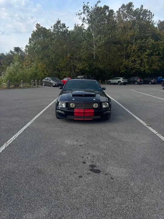 2005 Ford S197 Mustang - Image 3 of 5