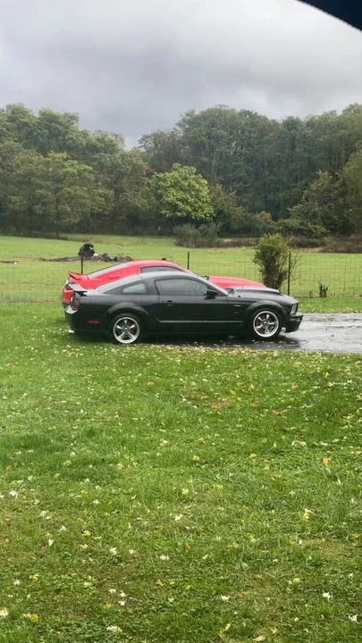 2005 Ford S197 Mustang - Image 4 of 5