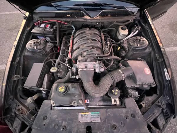 2005 Ford S197 Mustang - Image 12 of 17