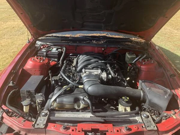 2005 Ford S197 Mustang - Image 6 of 14