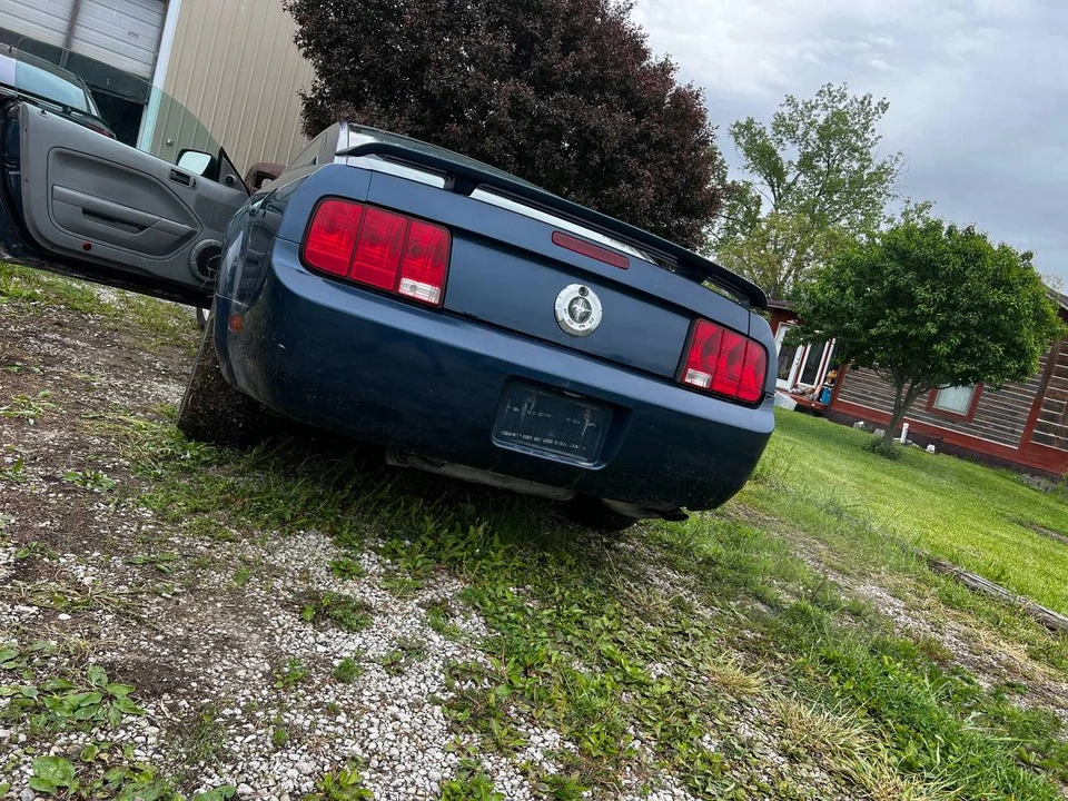2005 Ford S197 Mustang - Image 4 of 8