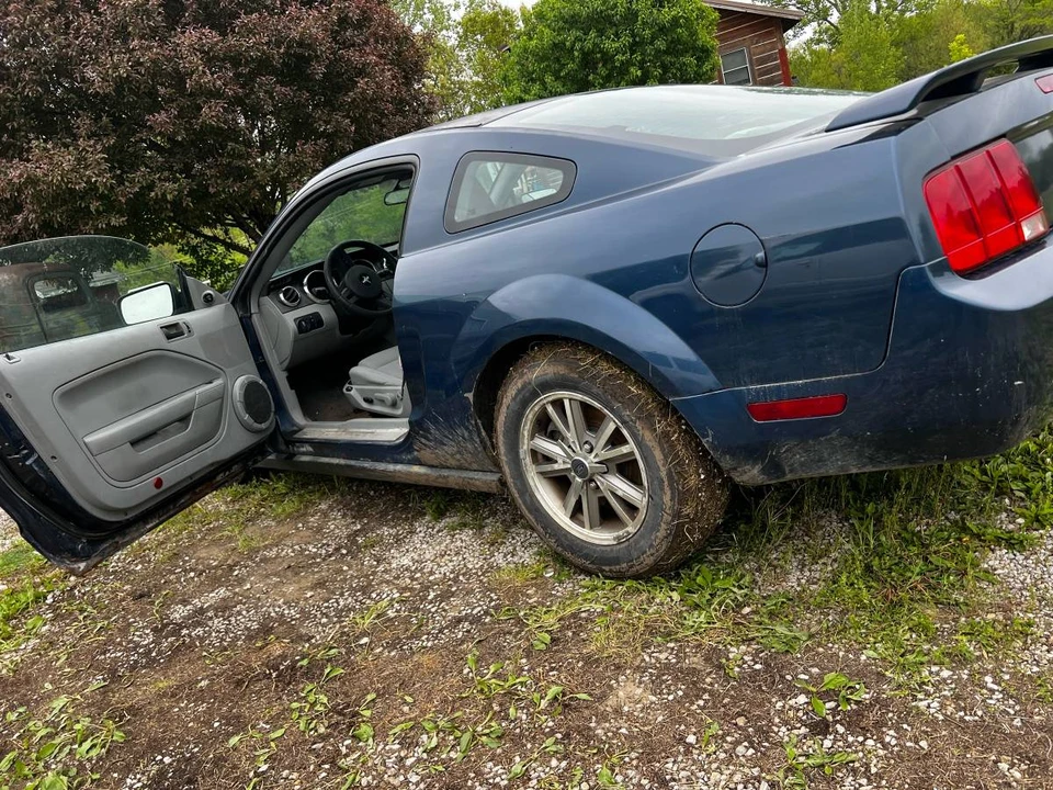 2005 Ford S197 Mustang - Image 5 of 8
