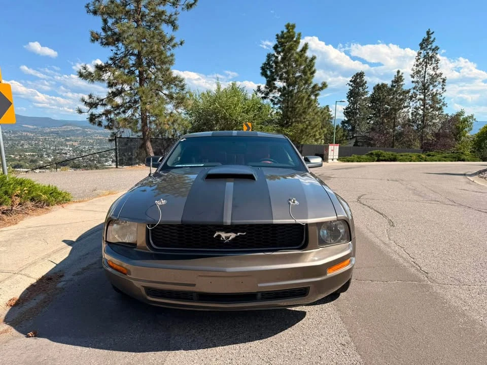 2005 Ford S197 Mustang - Image 8 of 8