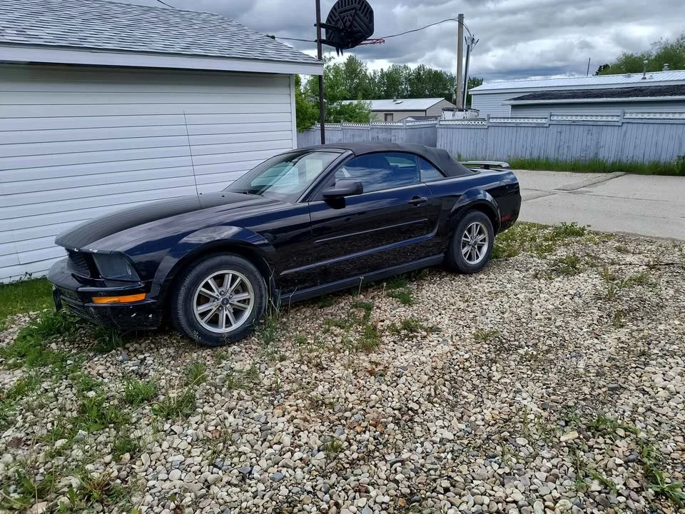 2005 Ford S197 Mustang - Image 6 of 6