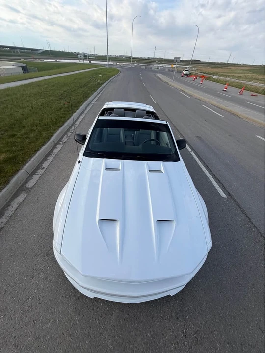 2005 Ford S197 Mustang - Image 6 of 11