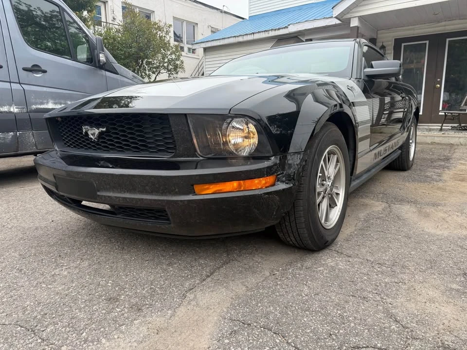 2005 Ford S197 Mustang - Image 6 of 14
