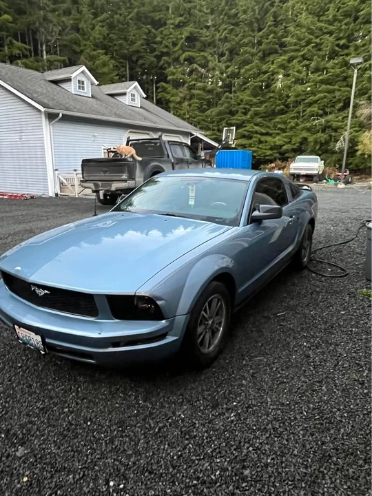 2005 Ford S197 Mustang - Image 5 of 7
