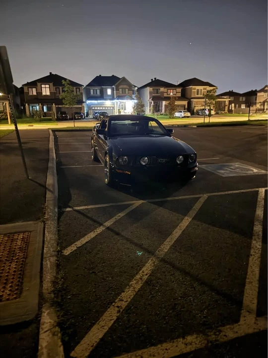 2005 Ford S197 Mustang - Image 2 of 20