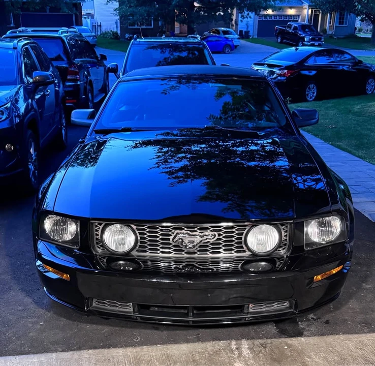 2005 Ford S197 Mustang - Image 13 of 20