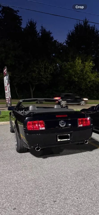 2005 Ford S197 Mustang - Image 9 of 20