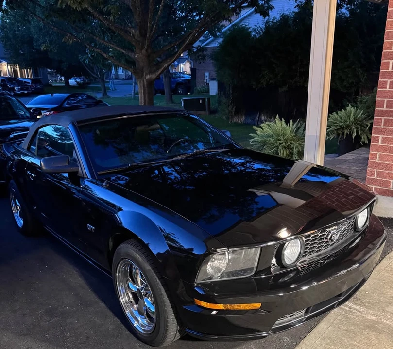 2005 Ford S197 Mustang - Image 16 of 20