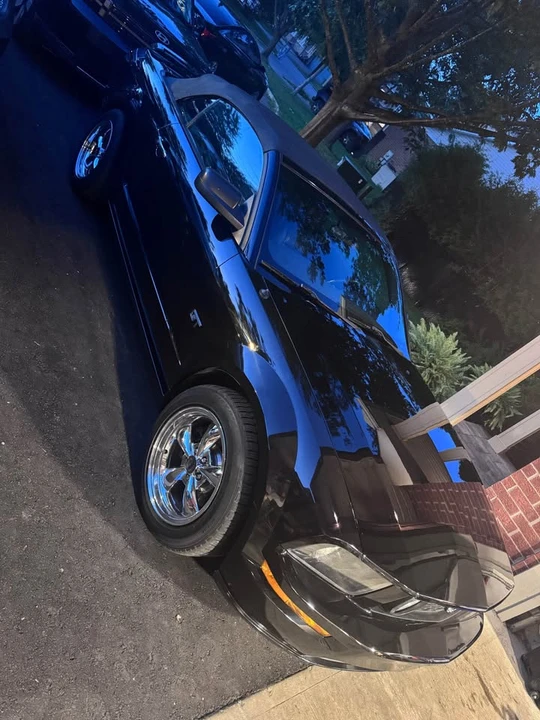 2005 Ford S197 Mustang - Image 17 of 20