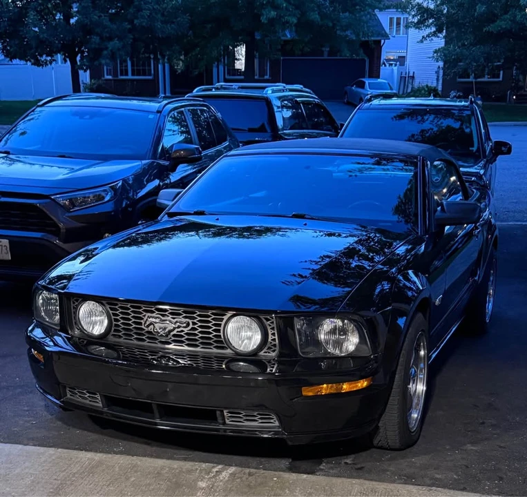 2005 Ford S197 Mustang - Image 15 of 20