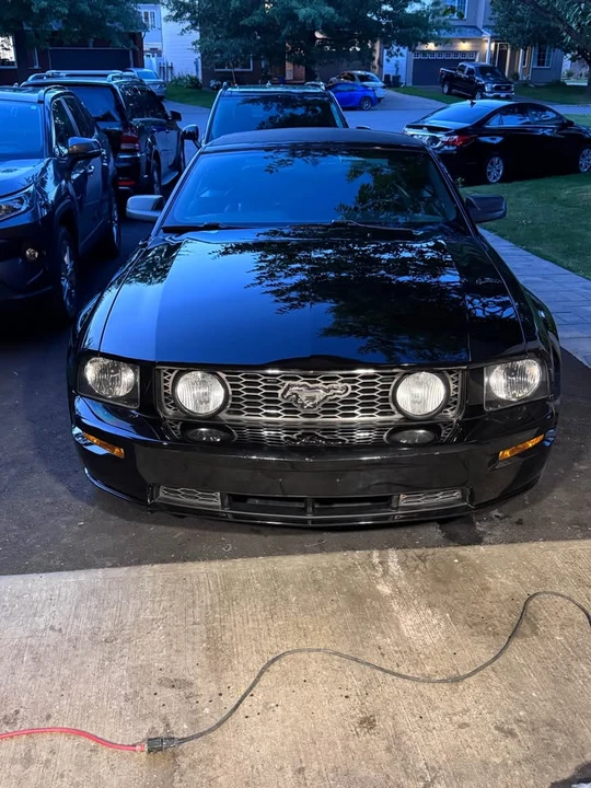 2005 Ford S197 Mustang - Image 14 of 20