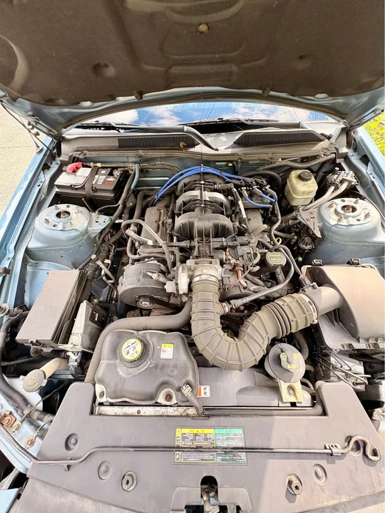 2005 Ford S197 Mustang - Image 13 of 13