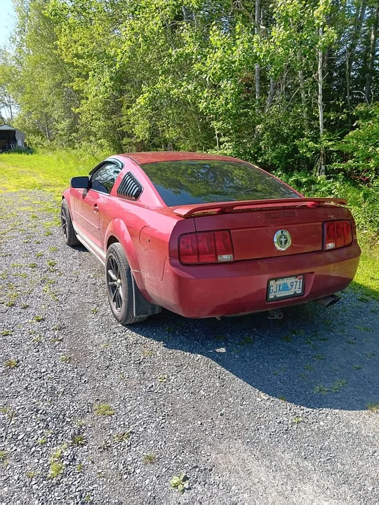 2005 Ford S197 Mustang - Image 3 of 3