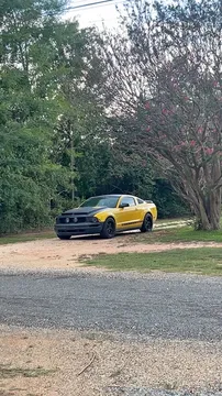 2005 Ford Mustang
