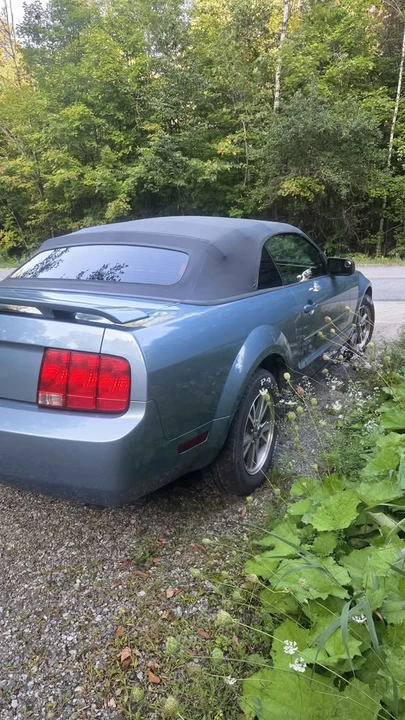 2005 Ford S197 Mustang - Image 3 of 14
