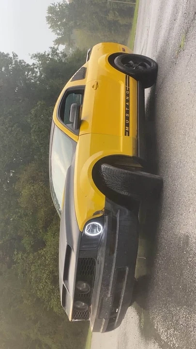 2005 Ford S197 Mustang - Image 3 of 6