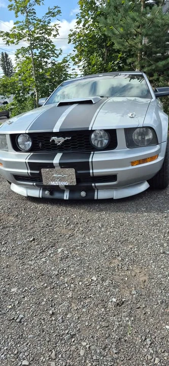 2005 Ford S197 Mustang - Image 2 of 7