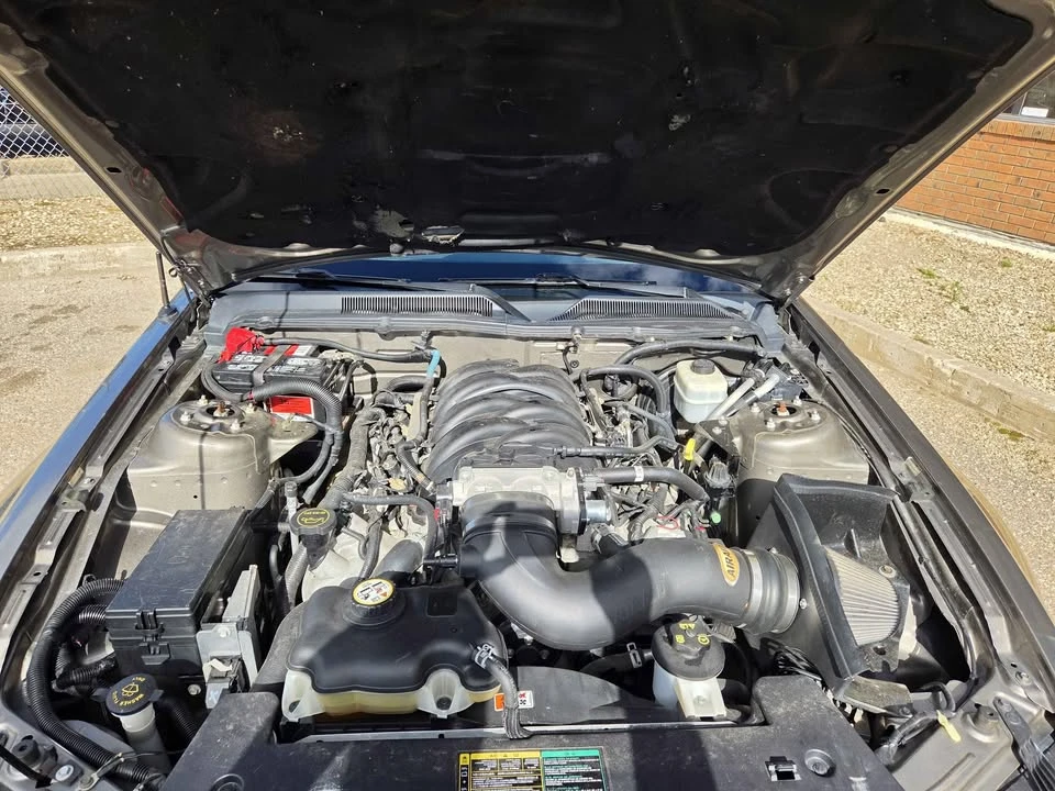 2005 Ford S197 Mustang - Image 7 of 11
