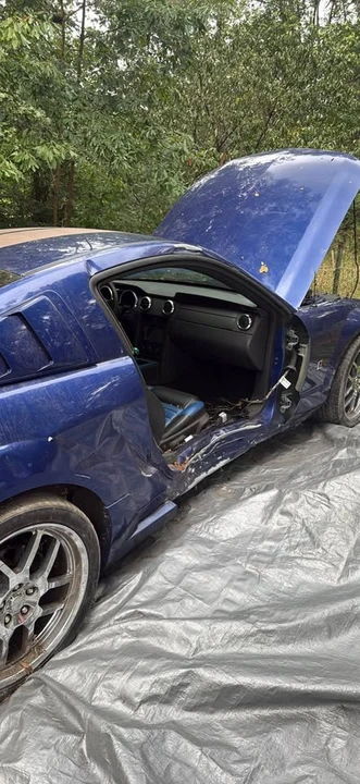 2005 Ford S197 Mustang - Image 5 of 6